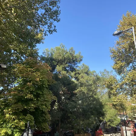 Adres Karaagac アパートホテル